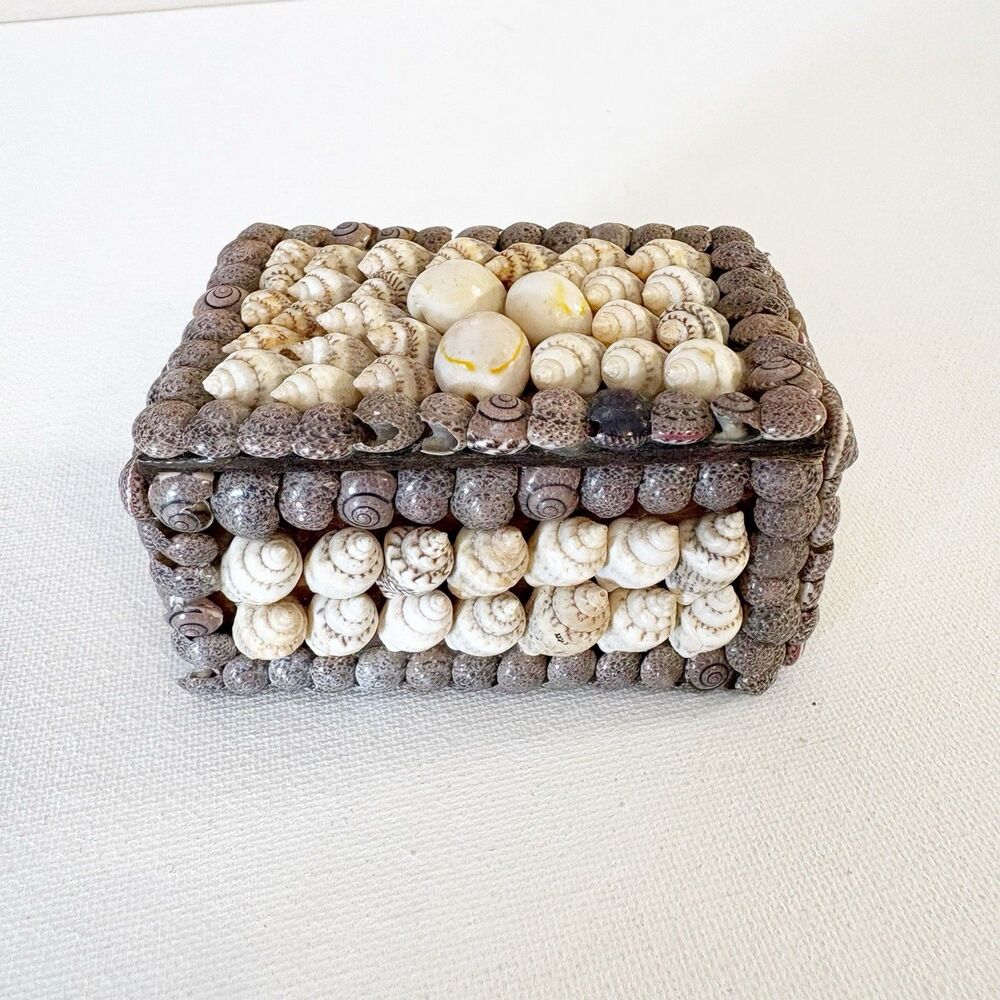 Natural Seashell Treasure Trinket Box Ocean Beach Decor from Philippines 3.5x2.5